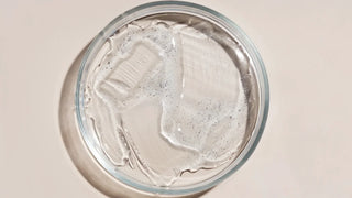 les conservateurs dans une boite à Pétri